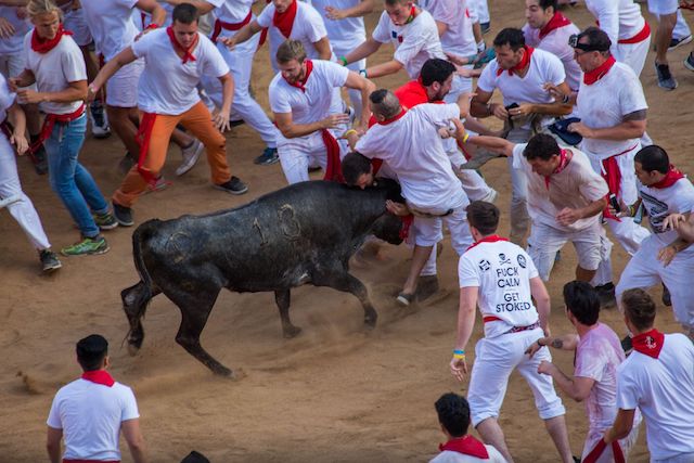 San Fermin bull running